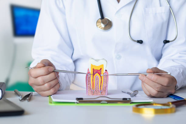 Best Emergency Tooth Extraction in Dilworth, MN